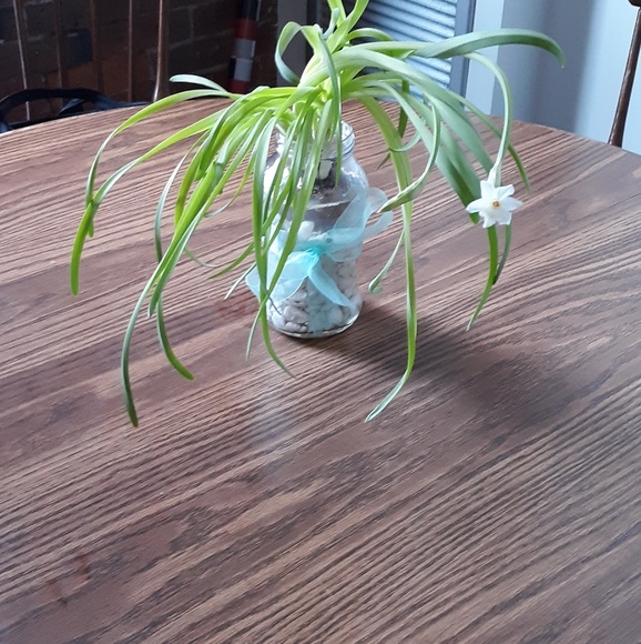 snowflakesam